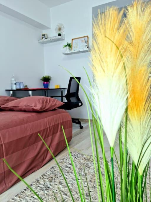 Ferienwohnung Ultracentral Magheru Studio Bukarest Exterior foto